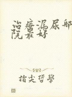 治疗漏尿哪家医院最好