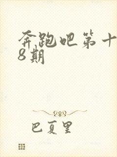 奔跑吧第十季第8期封面