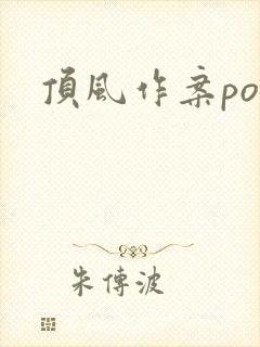 顶风作案po封面