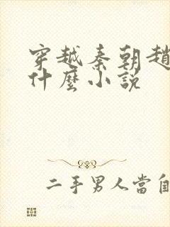 穿越秦朝赵浪是什么小说