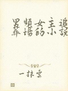 男频女主追夫火葬场的小说