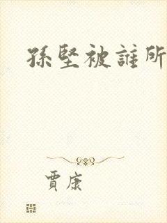 孙坚被谁所杀?封面