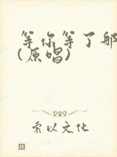 等你等了那么久(原唱)封面