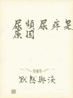 尿频尿疼是什么原因