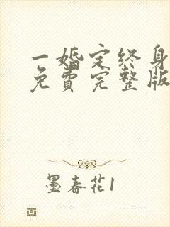 一婚定终身短剧免费完整版