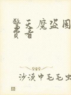 惊天魔盗团2免费看封面