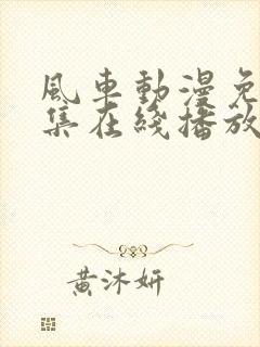 风车动漫免费全集在线播放封面