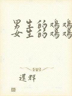 男生的鸡鸡插在女生的鸡鸡