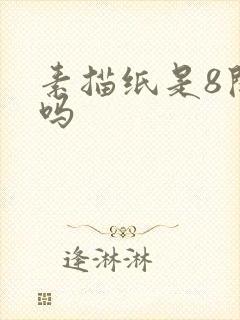 素描纸是8开纸吗封面