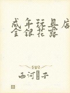 成年玩具店by金银花露