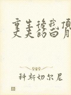 重生后我顶替了丈夫的白月光