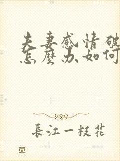 夫妻感情破裂该怎么办如何挽回封面