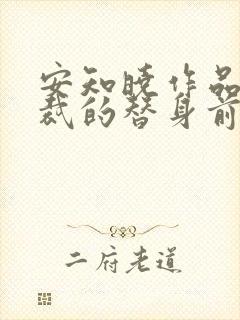 安知晓作品:总裁的替身前妻小说封面