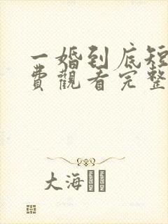 一婚到底短剧免费观看完整版