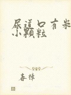 尿道口有米粒状小颗粒