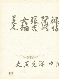 美女张开腿给男人桶爽网站