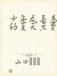 少年成长为大人的夏天免费观看