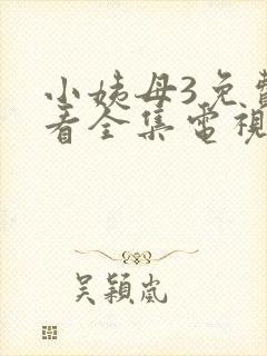 小姨母3免费观看全集电视剧封面