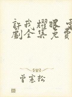 许我耀眼 电视剧全集免费观看封面