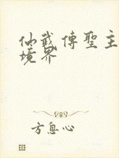 仙武传圣主什么境界