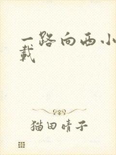 一路向西小说下载