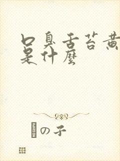 口臭舌苔黄厚腻是什么