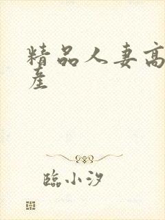 精品人妻高清国产