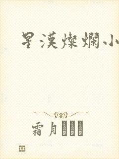 星汉灿烂小说
