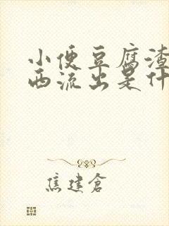 小便豆腐渣样东西流出是什么情况