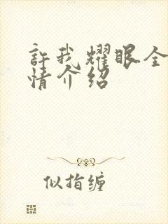 许我耀眼全集剧情介绍封面