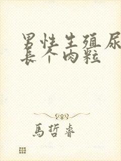 男性生殖尿道口长个肉粒封面