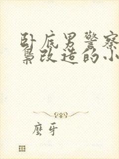 卧底男警察被毒枭改造的小说