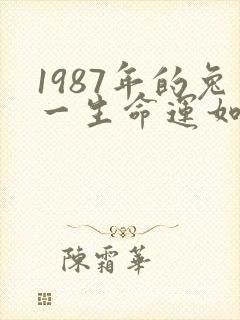 1987年的兔一生命运如何封面