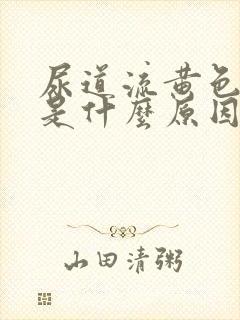 尿道流黄色液体是什么原因