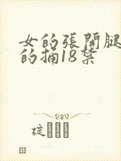 女的张开腿让男的捅18禁