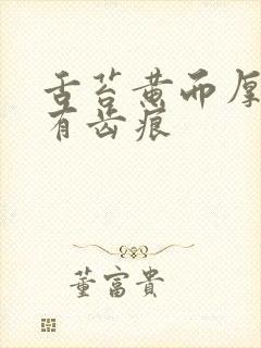 舌苔黄而厚腻并有齿痕