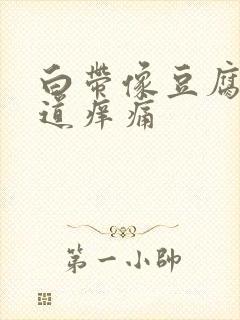 白带像豆腐渣阴道痒痛