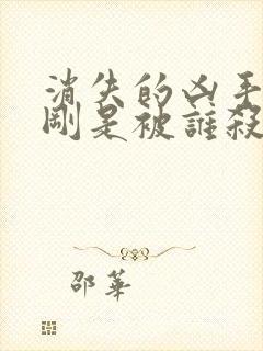 消失的凶手段志刚是被谁杀的