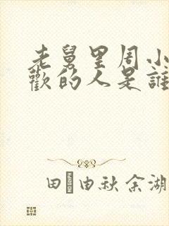 老舅里周小姐喜欢的人是谁封面