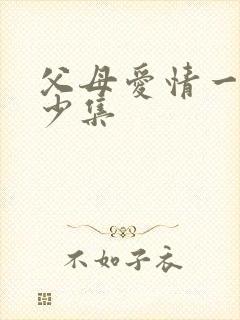 父母爱情一共多少集封面