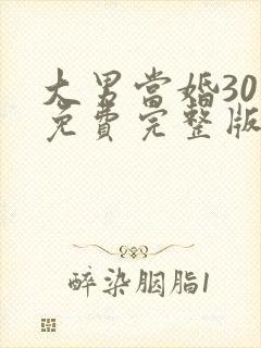 大男当婚30集免费完整版