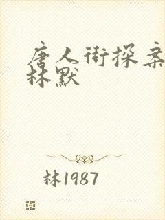 唐人街探案网剧林默