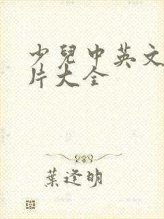 少儿中英文动画片大全封面