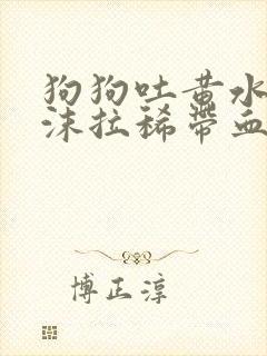 狗狗吐黄水带泡沫拉稀带血封面