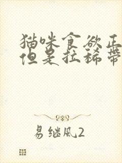 猫咪食欲正常 但是拉稀带血