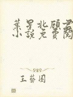 叶星北顾君逐的小说免费阅读