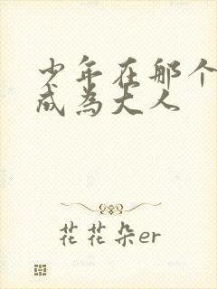 少年在那个夏天成为大人