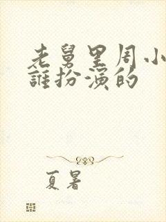 老舅里周小姐是谁扮演的封面