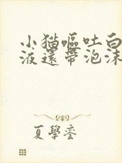 小猫呕吐白色粘液还带泡沫封面