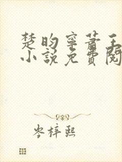 楚昀宁萧王穿越小说免费阅读无弹窗